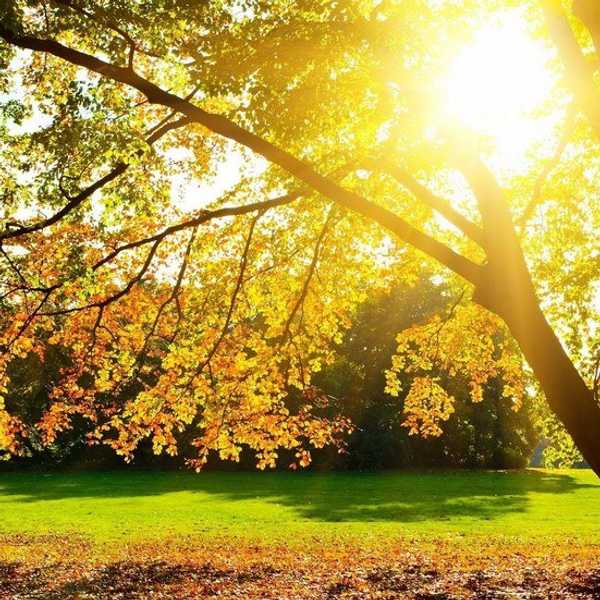 A Letter To The Person Who Needs Encouragement