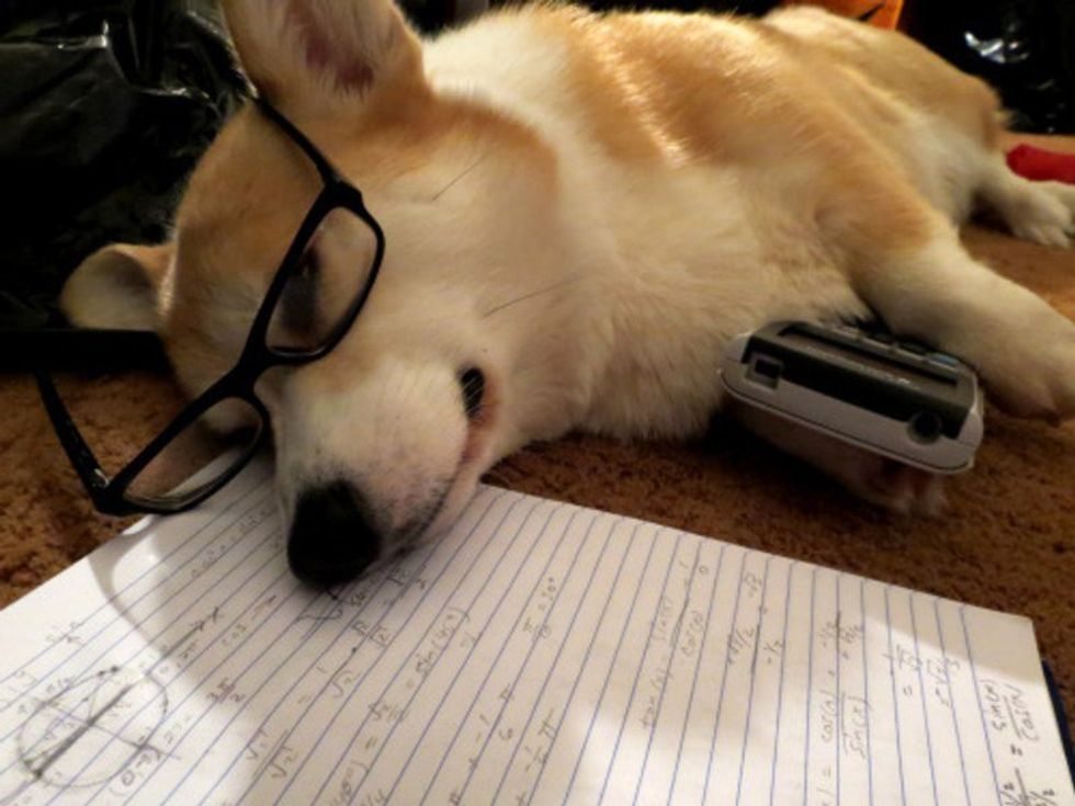 12 Ways To Appropriately Handle Midterms