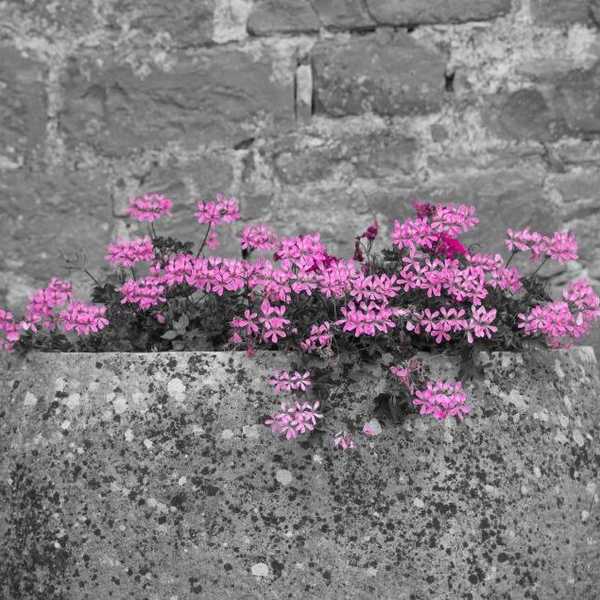 A Break-Up Letter To My Social Anxiety