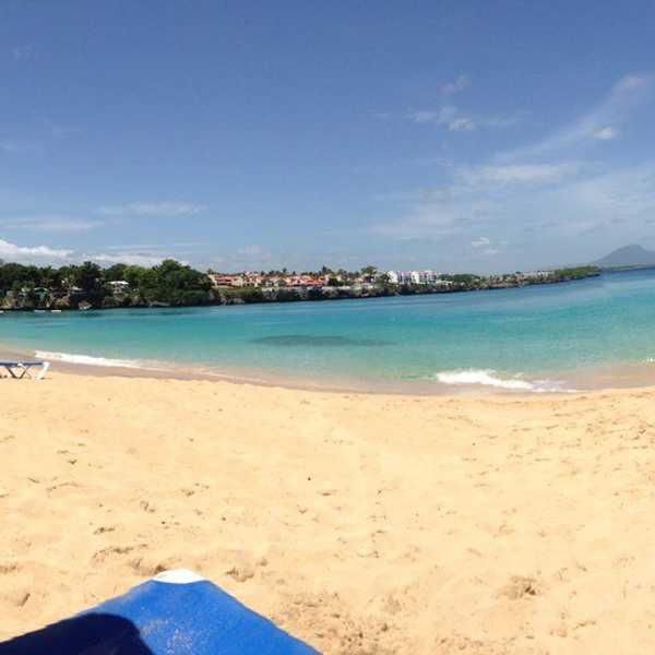 Vaca Destination: Home