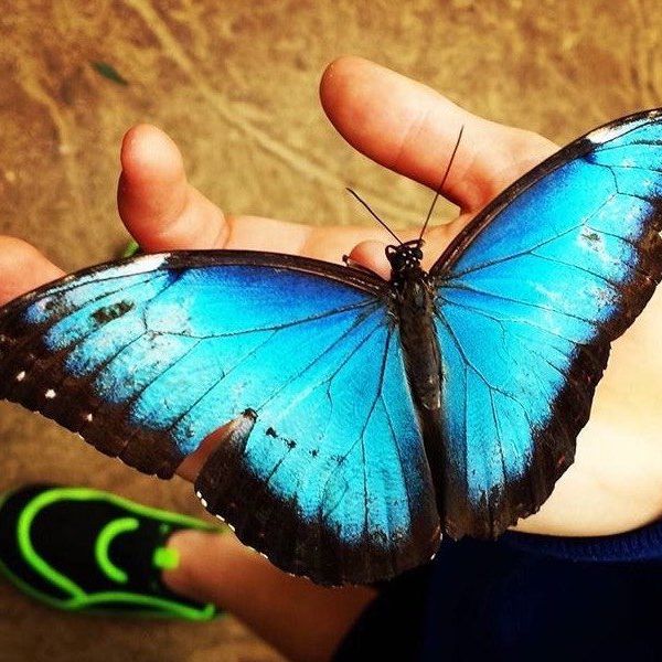 Let People Live Their Own Lives