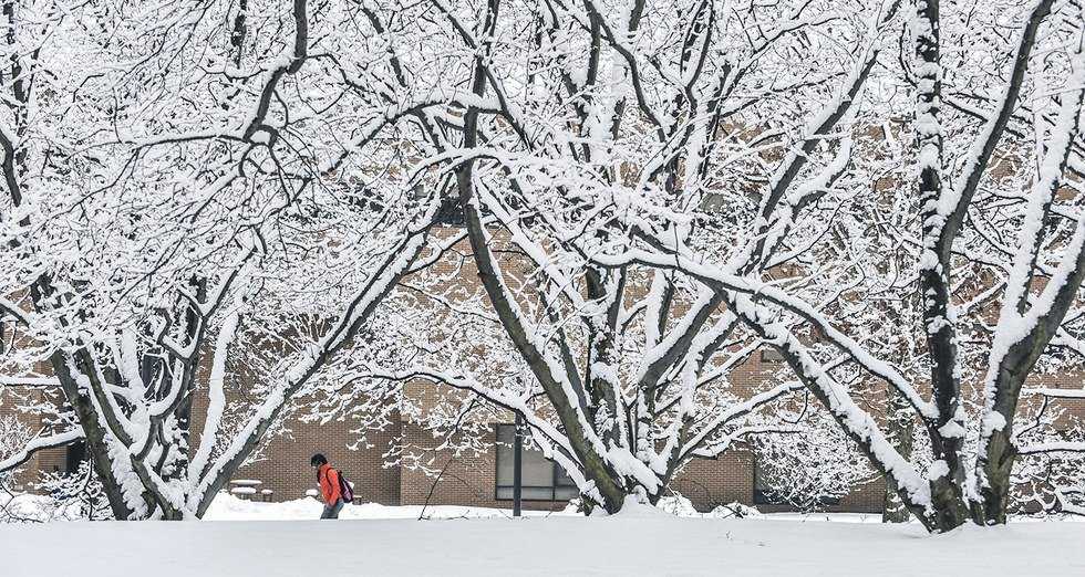 The 5 Stages of Grief, As Told By Kent State Students