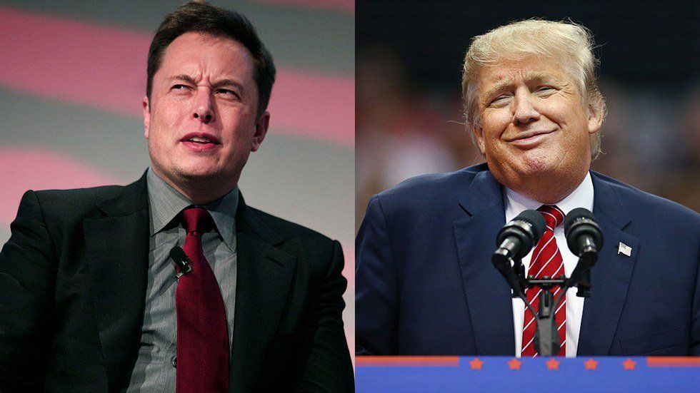 How Elon Musk Being Close To Trump Helps You And The Environment