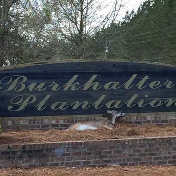 7 Reasons Burkhalter Plantation Is The Best College Neighborhood
