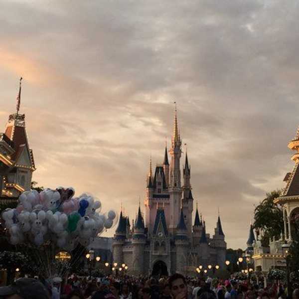 9 Reasons Why Disney World Is The Best