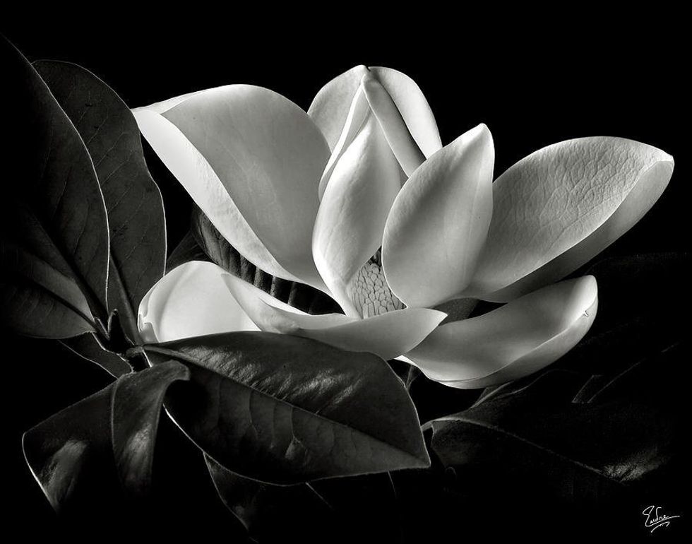 Since You've Been Gone