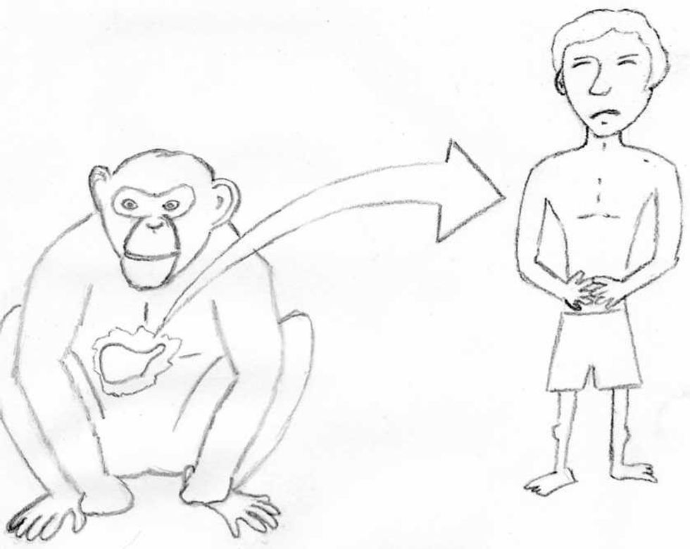 The Benefits of Xenotransplantation