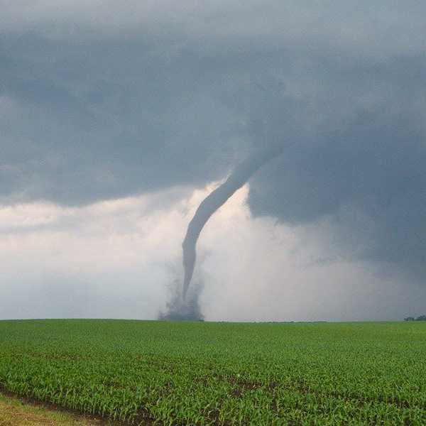Traded In Nor'Easters For Tornadoes: The Northern's Guide To Surviving Tornado Season