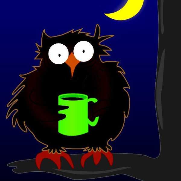 An Argument In Favor Of The Night Owl
