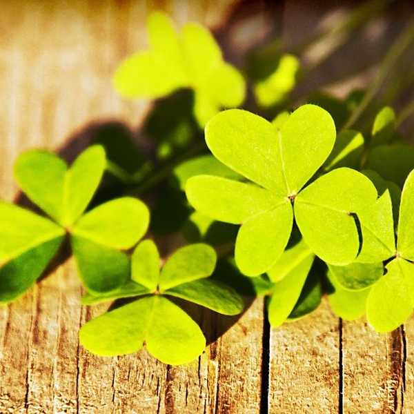 Why I Hate The Month Of March