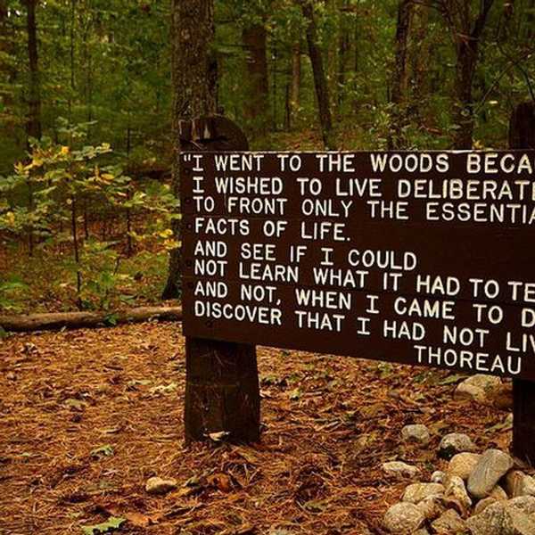 Becoming Thoreau