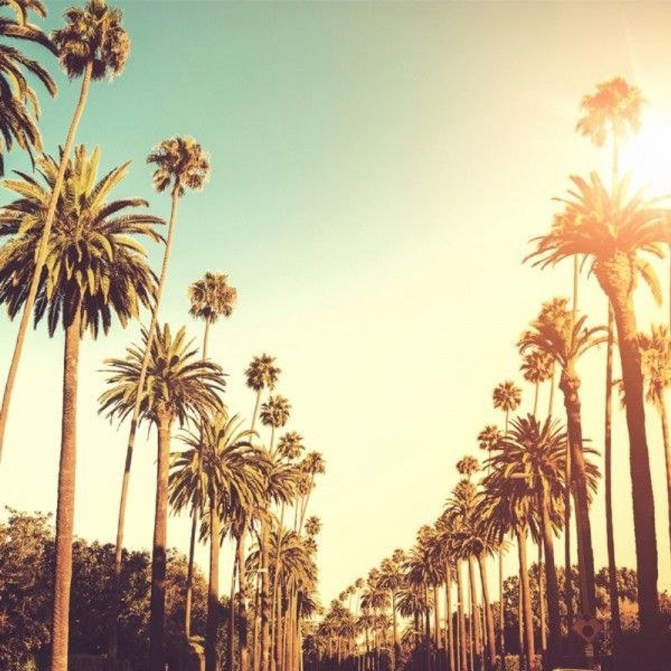 The Ultimate Spring Break Survival Guide for Everyone