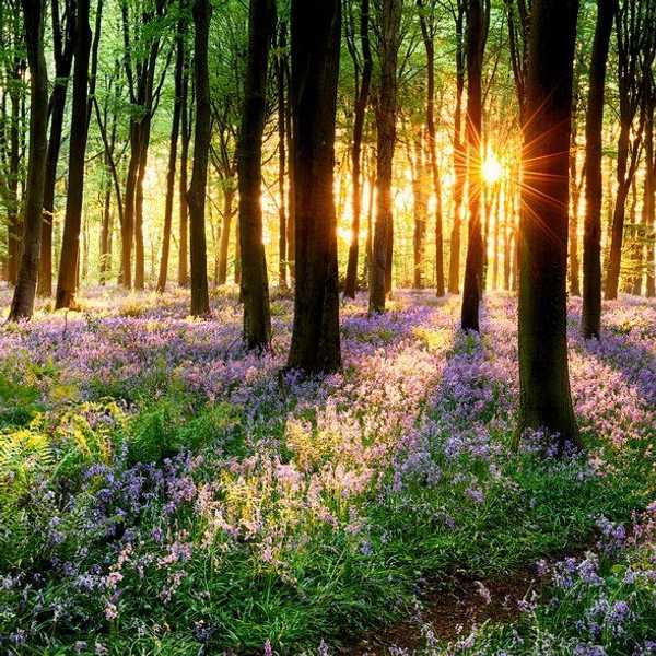 4 Things To Do Over Spring Break