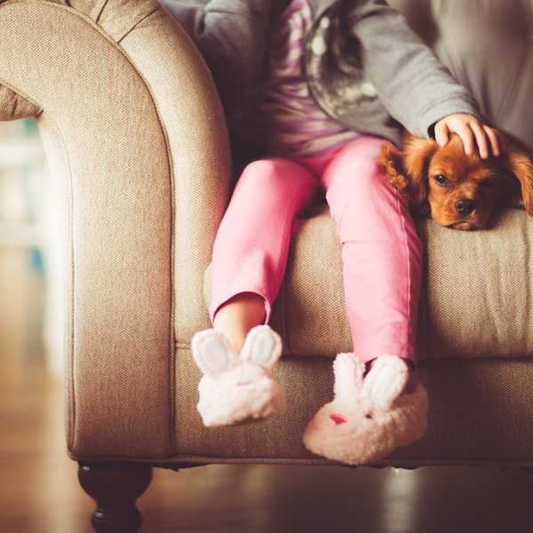8 Important Reasons You Should Adopt Your Next Pet