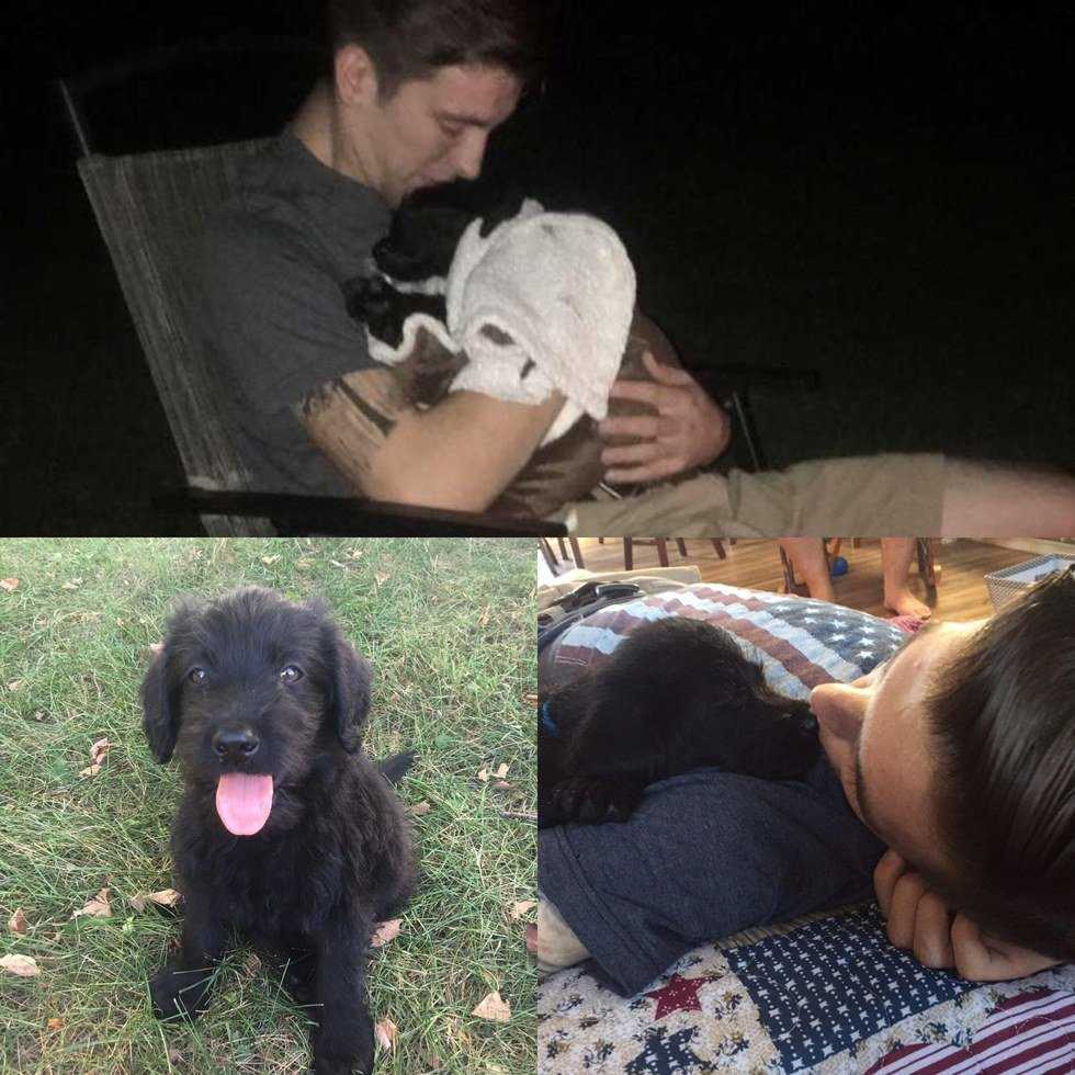 Why I Love My Dog