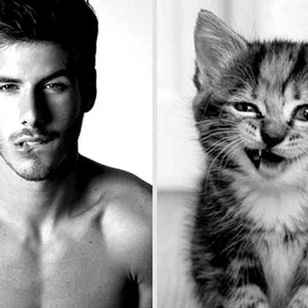 20 Photos Of Hot Men Who Look Like Cats To Get You Through Midterms