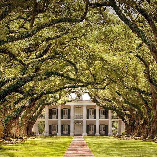 10 Reasons Why Louisiana Is The Best State