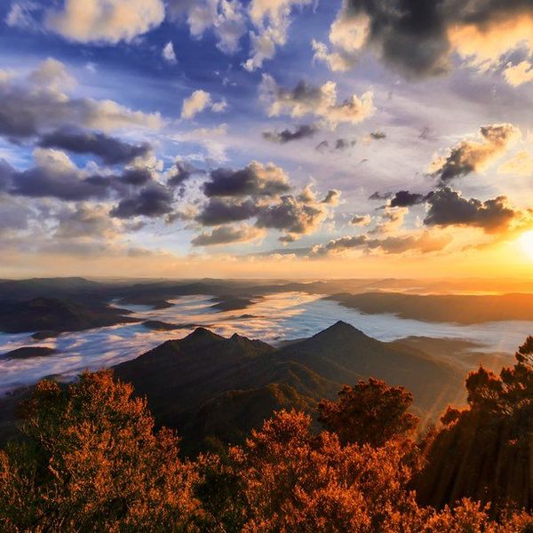 I'm Not Sorry For Being Sorry