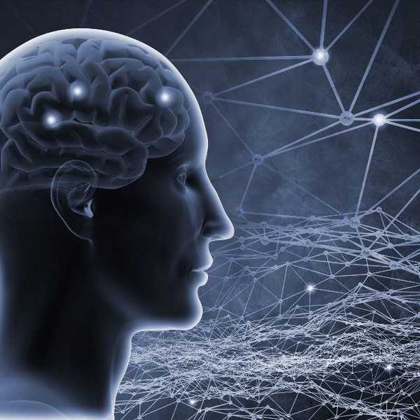 Philosophical Conceptions Of Consciousness: Nagel v. Flanagan