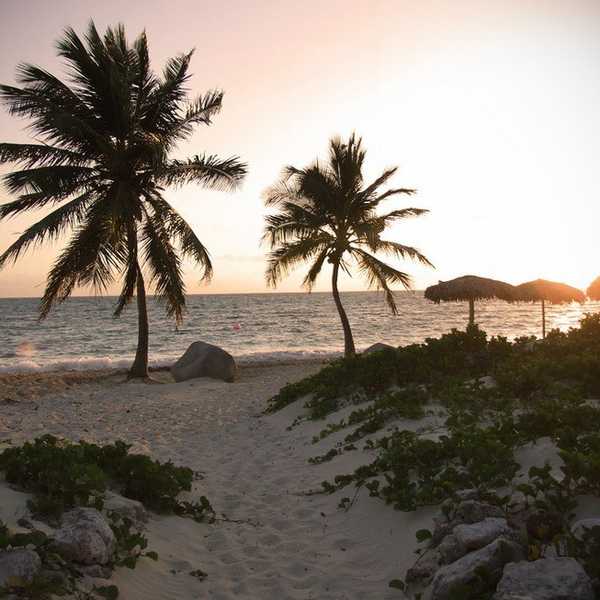 The Top 8 Reasons Going Home For Spring Break Is The Best