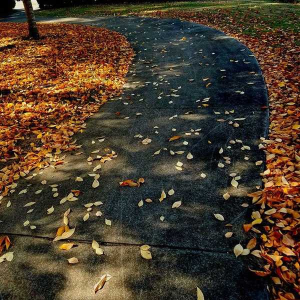 3 Of The Best Way to Get Back on Your Feet