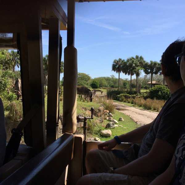 Disney Park Hopping 2.0