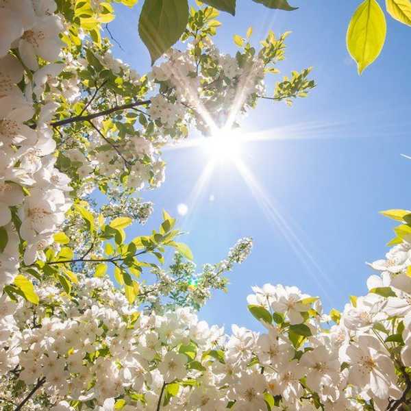 Excited For Spring