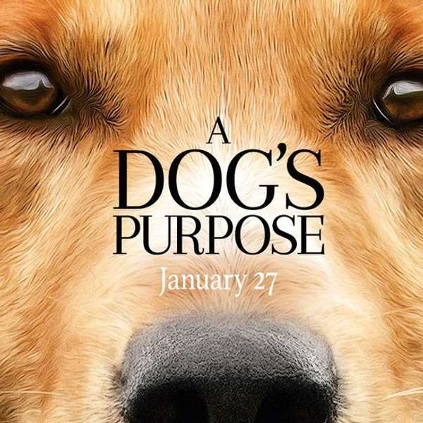 Movie Review: A Dog's Purpose