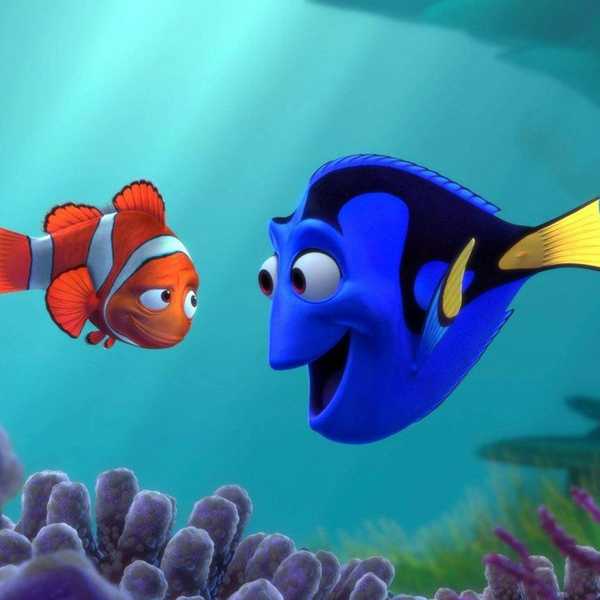 Midterms Season, As Told By Dory