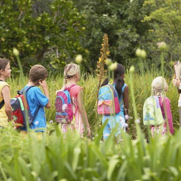 7 Ways to Engage in Political Resistance This Spring Break