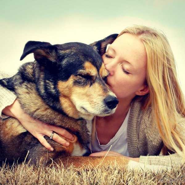 15 Reasons To Love Dogs