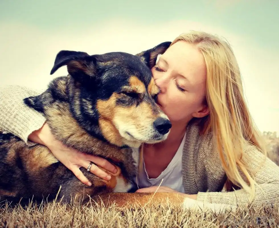 15 Reasons To Love Dogs