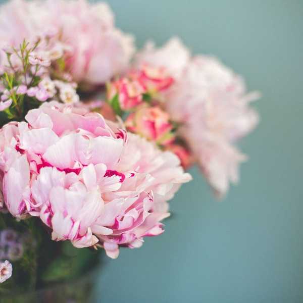 Change Is Good, Change Is Growth