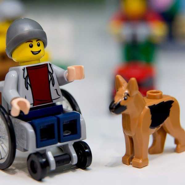 6 Toys That Depict Disabilities (And Totally Rule)