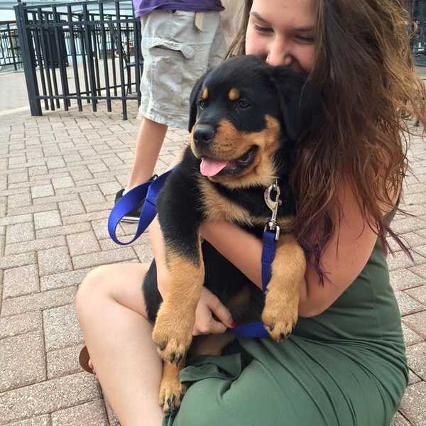 Why I Like My Dog More Than People