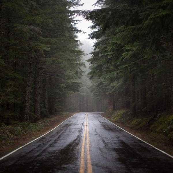 A Generation Who Has Worry Travel In Their Brains