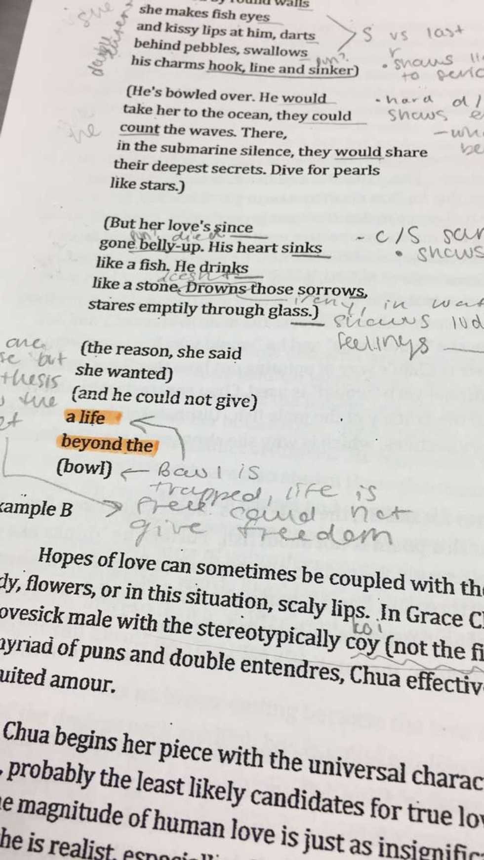 To The Overworked, Run Down, And Stressed Out