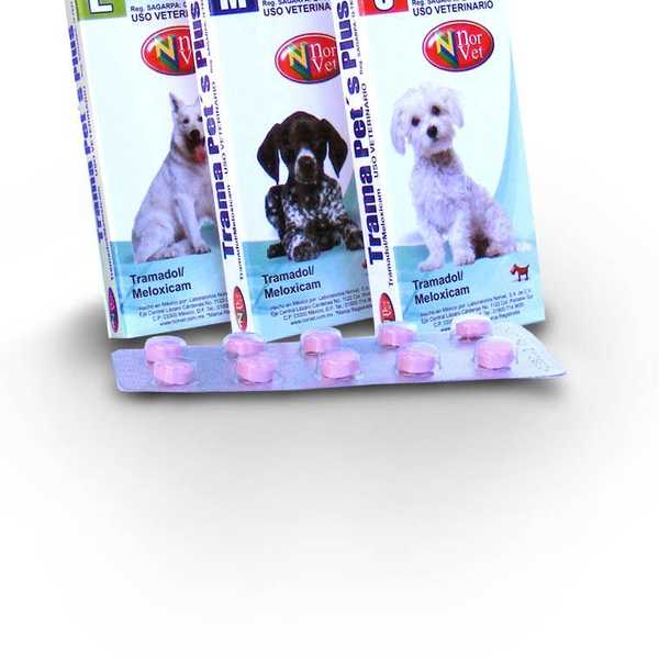 Addicts Harm Pets For Drugs