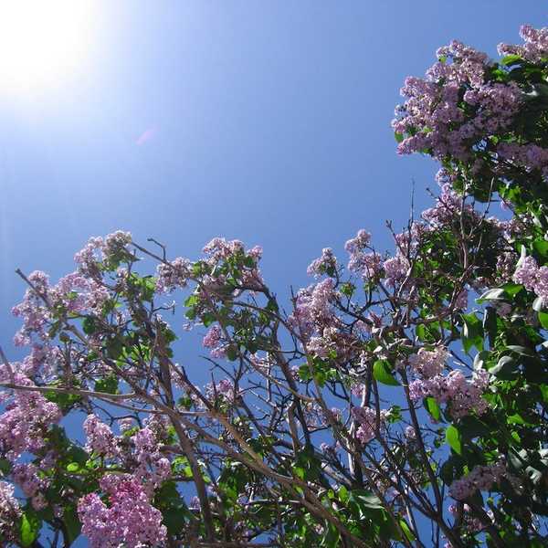 An Open Letter To My Mom