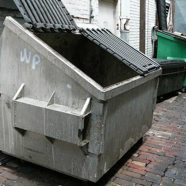 The Goblin In The Garbage