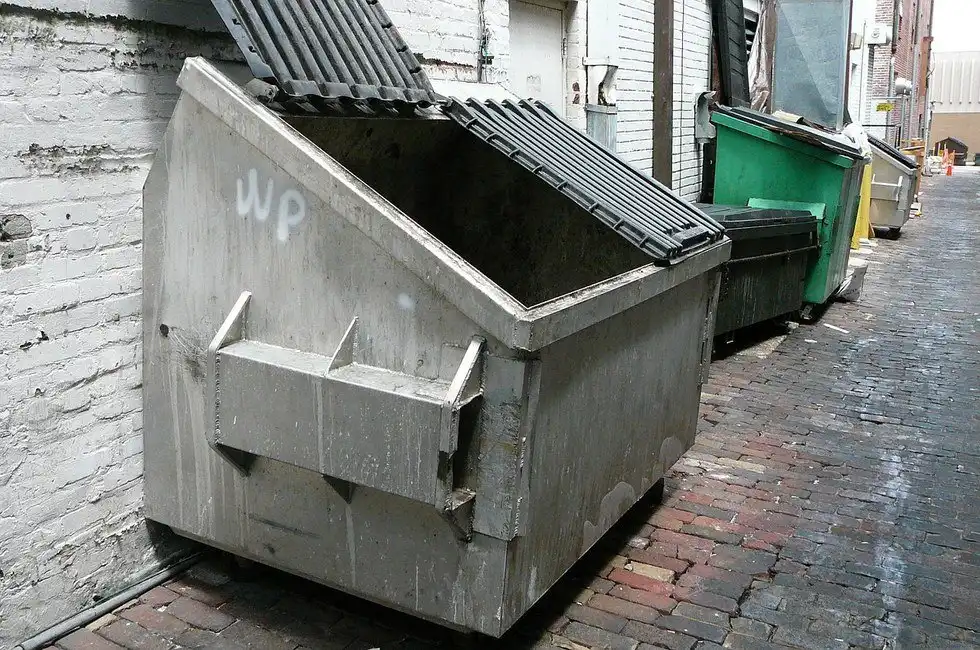 The Goblin In The Garbage