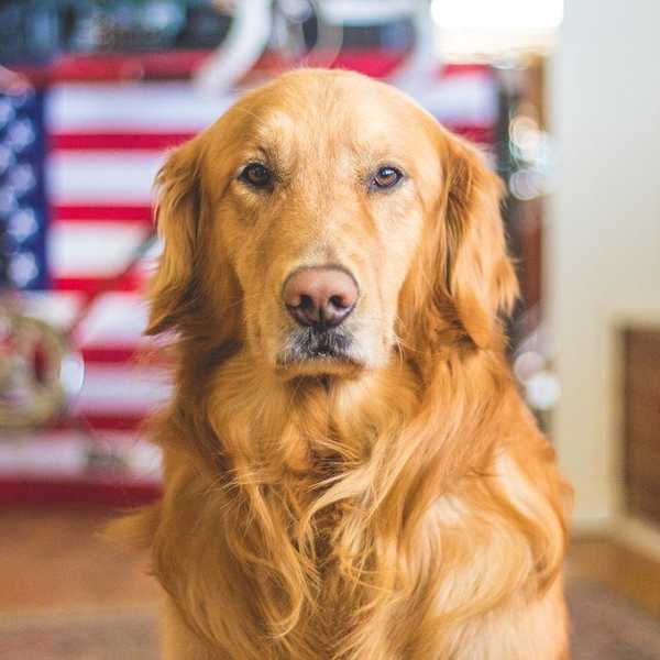 Living Behind Bars: What It's Like For Animals