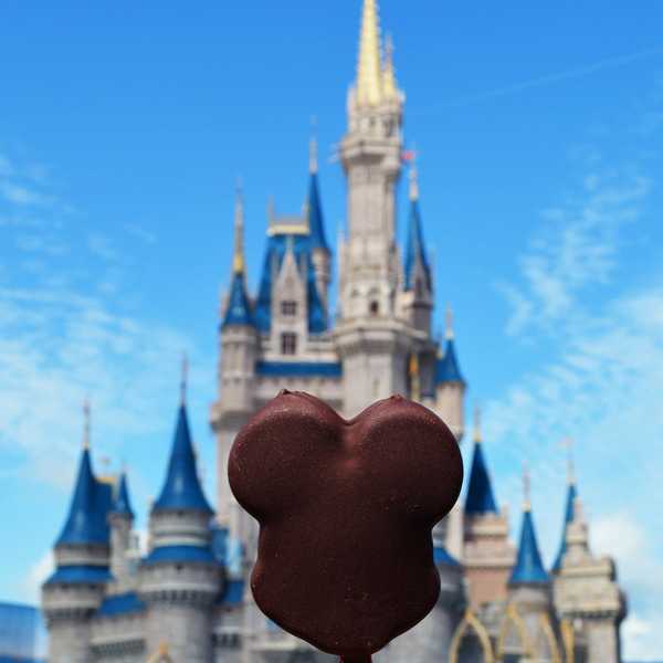 11 Things You Know To Be True If You're Obsessed With Disney World
