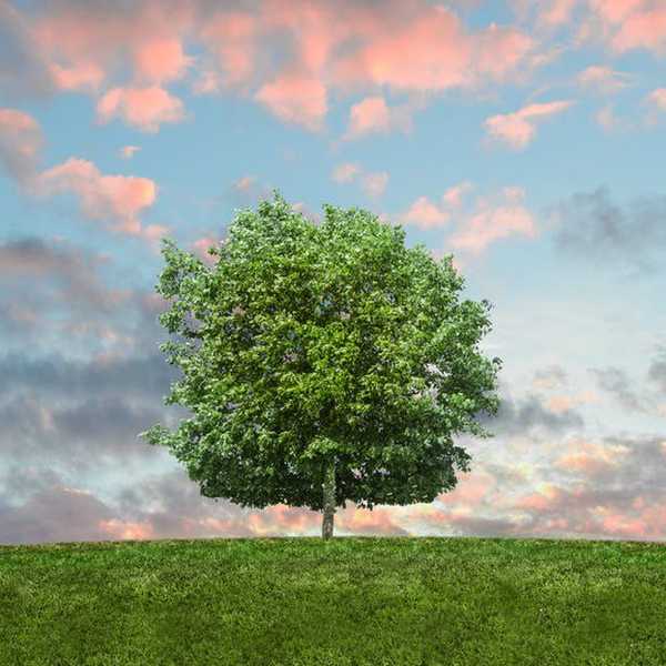 5 Reasons Why We Need The Environmental Protection Agency