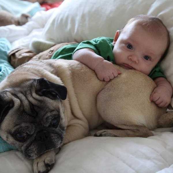 What Is It To Be Mindful?