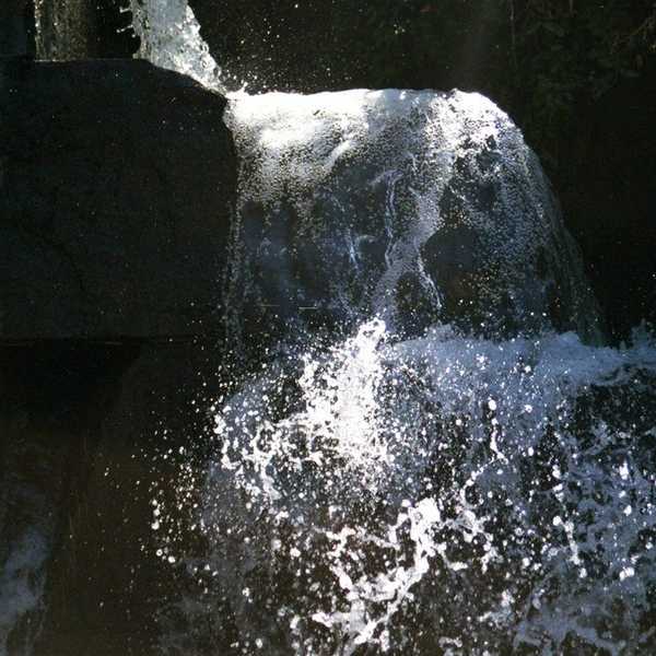 Brighter Forests, Warmer Water, Sweeter Love, Part I