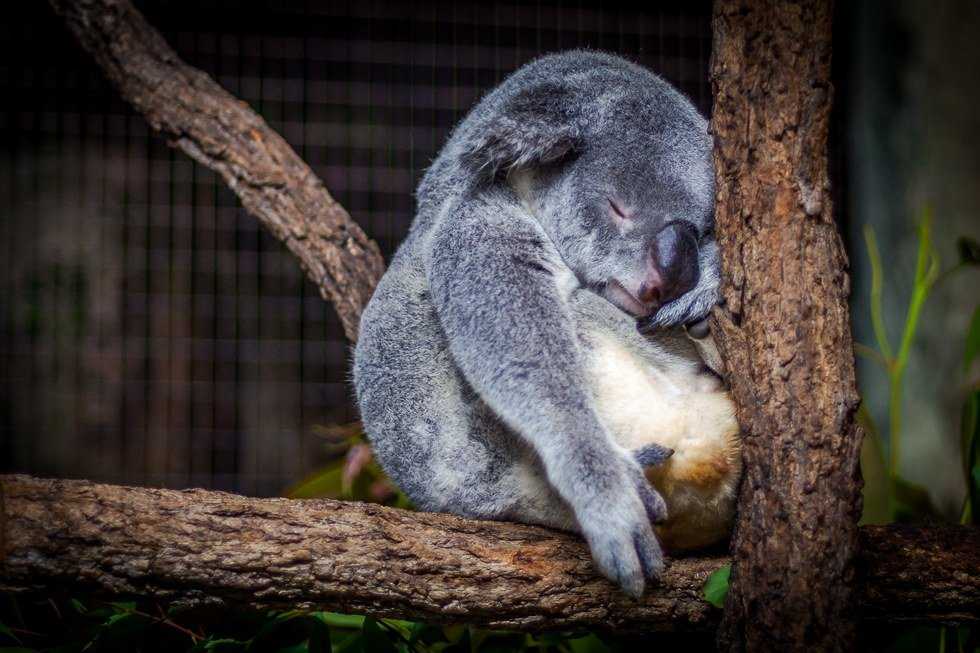Why Slacking Off Is Okay, As Told By A Nutritionist