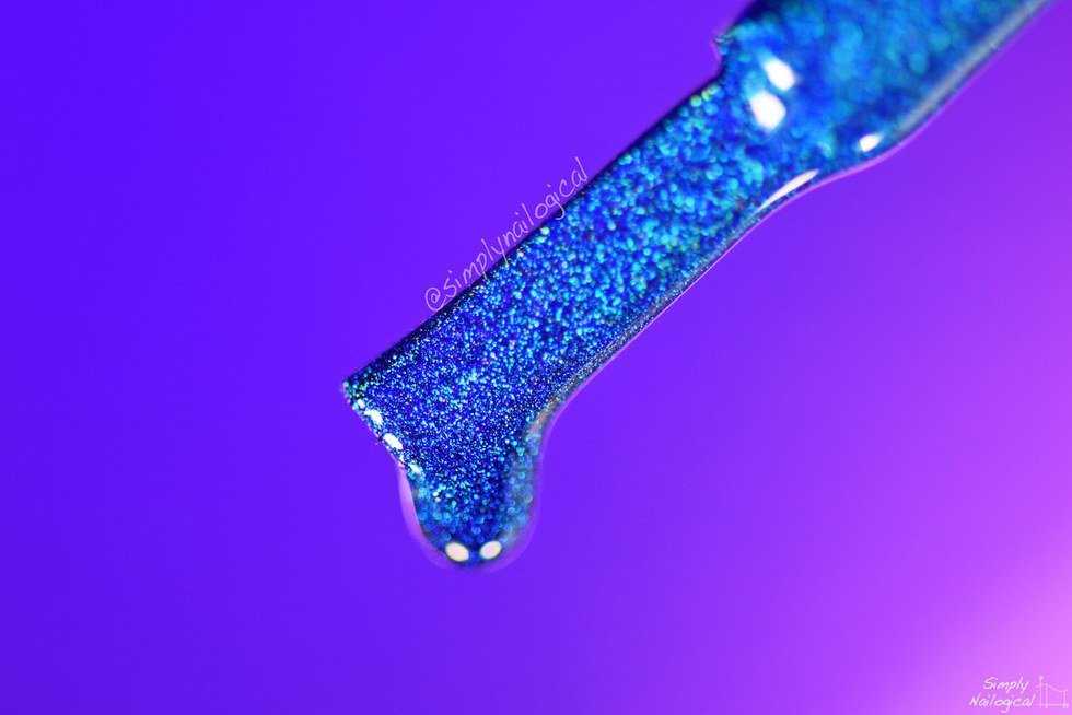 Are You A Holosexual? Simply Nailogical's Internet Sensation