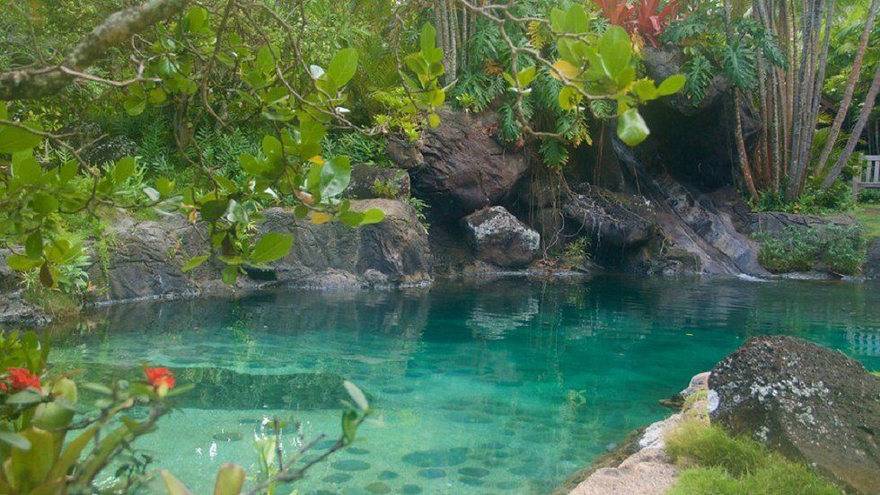 On the Island of Love