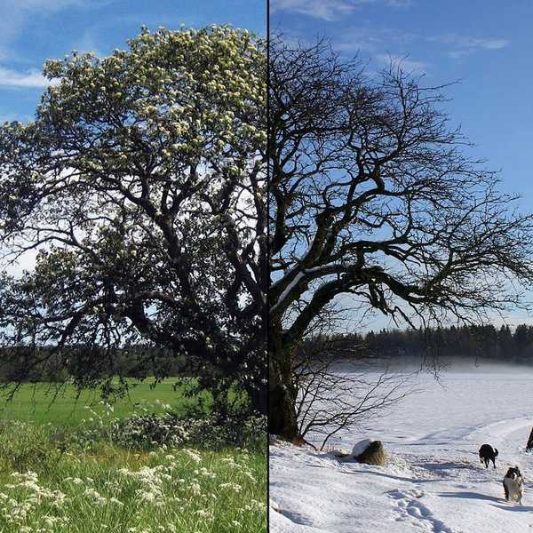Seasons Change, As Do We